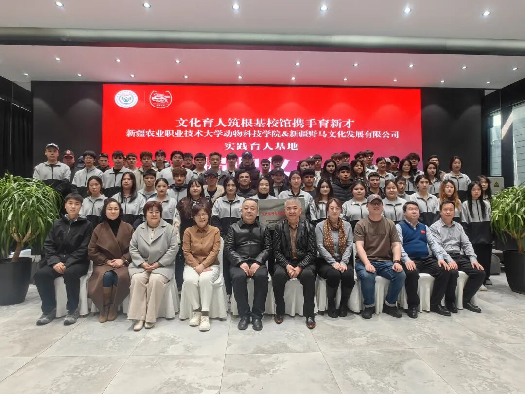 J9集团-国际站最新官网